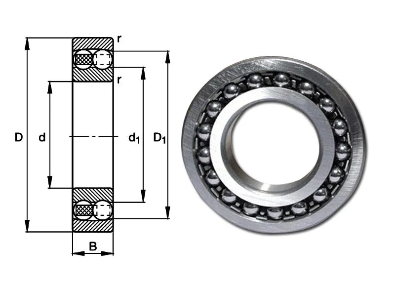 Self-Aligning Ball Bearing 1309 Double Row Stainless Steel Ball Bearing